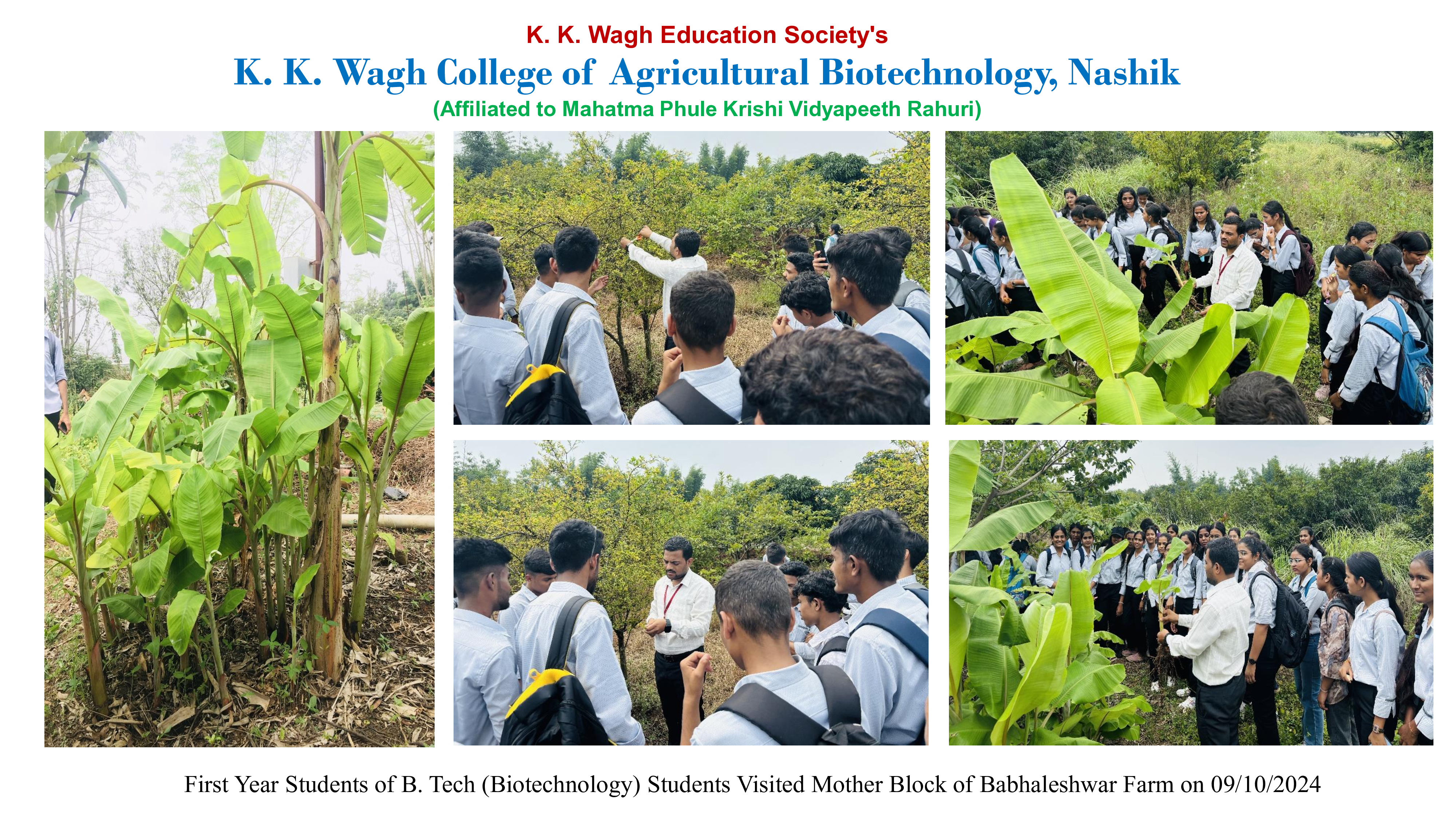 Farm Visit for First Year Student 09 Oct 2024@ Babhaleshwar Farm_1